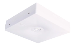 Witte vierkante STARLET QUAD SO 250 CB noodverlichtingsarmatuur