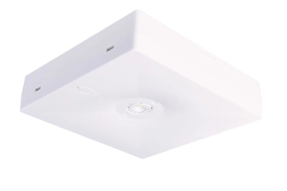 Witte vierkante STARLET QUAD SO 250 CB noodverlichtingsarmatuur