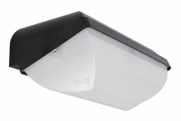 Ibiza zwart 3CCT LED portiekarmatuur met noodunit | 3 uur Ibiza zwart 3CCT LED portiekarmatuur met noodunit | 3 uur