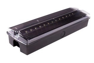 Zwarte ORION II IP65-noodverlichtingsarmatuur